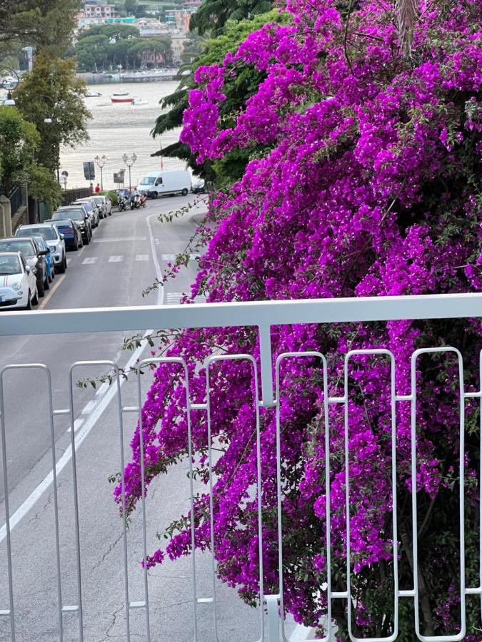 Welcome Riviera -Torre D'Avorio Appartamento 126 Mq Piu'Terrazzo25 Mq - Totalmente Rinnovato- 250 M Dal Centro - Parcheggio A Pagamento 15 Euro Al Giorno Da Prenotare In Anticipo Salvo Dispo -Parking At 15 Euro Per Day To Be Booked In Advance If Avai 라팔로 외부 사진